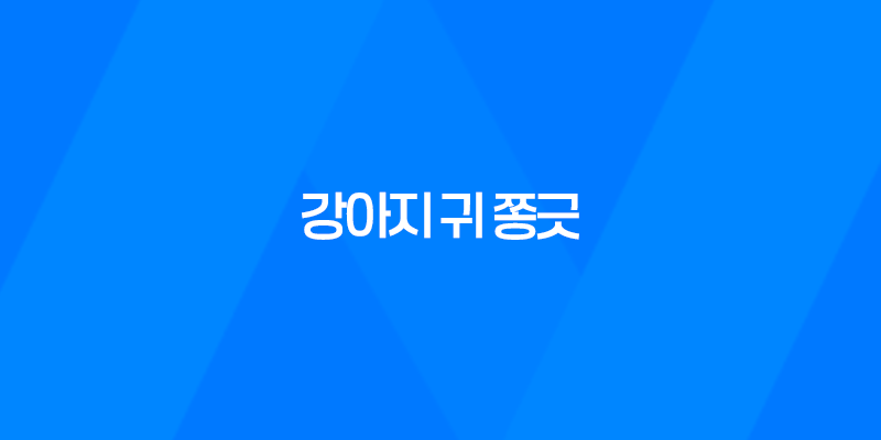 강아지 귀 쫑긋 무슨 의미일까? 7
