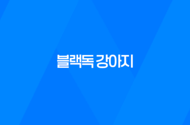 블랙독 강아지 사진 루이와 구름이, 사랑스럽고 귀여운 멍멍이들 9