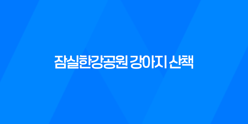잠실한강공원 강아지 산책 강아지 에티켓 총정리 8 잠실한강공원 강아지 산책 강아지 에티켓 총정리 7