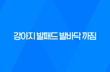 강아지 발패드 발바닥 까짐, 여름 산책 조심하세요! 17