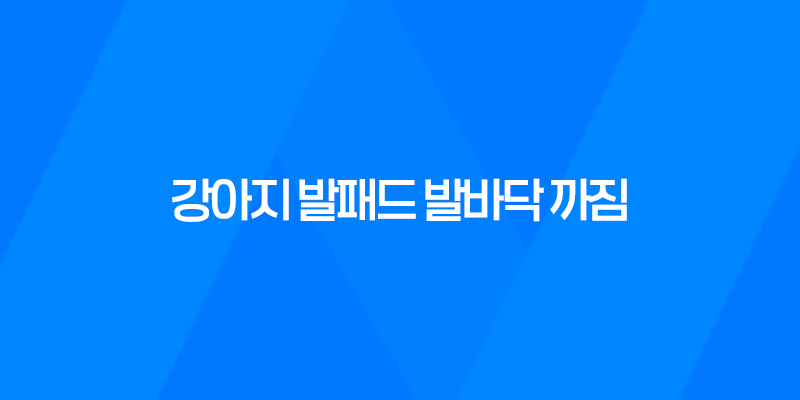 강아지 발패드 발바닥 까짐, 여름 산책 조심하세요! 7