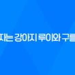 잠자는 강아지 루이와 구름이, 너무 귀여운 루이와 구름이! 35