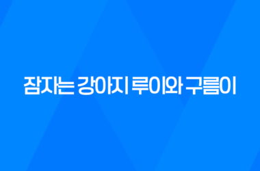 잠자는 강아지 루이와 구름이, 너무 귀여운 루이와 구름이! 15