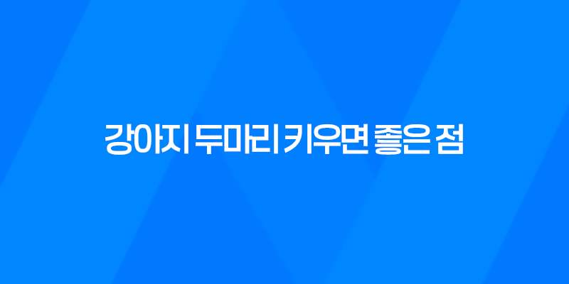 강아지 두마리 키우면 좋은 점, 장단점 8 강아지 두마리 키우면 좋은 점, 장단점 7