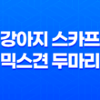강아지 스카프 믹스견 두마리, 예쁘게 입는 법! 75