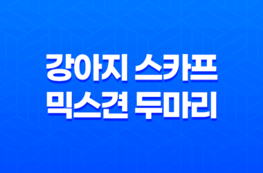 강아지 스카프 믹스견 두마리, 예쁘게 입는 법! 19
