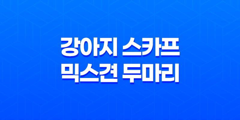 강아지 스카프 믹스견 두마리, 예쁘게 입는 법! 8 강아지 스카프 믹스견 두마리, 예쁘게 입는 법! 7