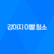 강아지 이빨 청소, C.E.T. 미니 칫솔 2개 세트로 효과적으로 관리하세요! 53