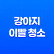 강아지 이빨 청소, C.E.T. 미니 칫솔 2개 세트로 효과적으로 관리하세요! 53