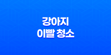 강아지 이빨 청소, C.E.T. 미니 칫솔 2개 세트로 효과적으로 관리하세요! 15
