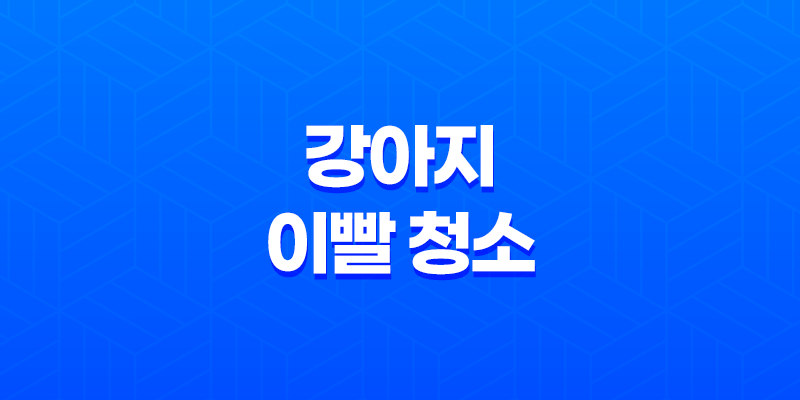 강아지 이빨 청소, C.E.T. 미니 칫솔 2개 세트로 효과적으로 관리하세요! 8 강아지 이빨 청소, C.E.T. 미니 칫솔 2개 세트로 효과적으로 관리하세요! 7