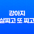 강아지, 살찌고 또 찌고! 엄청 빠른 성장 속도에 놀라라! 61
