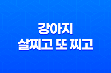 강아지, 살찌고 또 찌고! 엄청 빠른 성장 속도에 놀라라! 15
