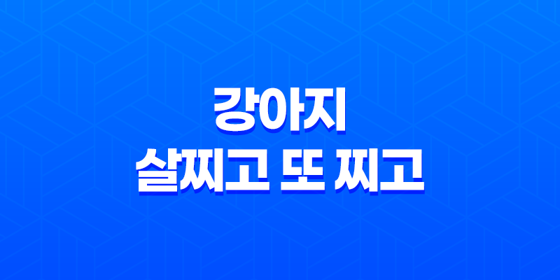 강아지, 살찌고 또 찌고! 엄청 빠른 성장 속도에 놀라라! 8 강아지, 살찌고 또 찌고! 엄청 빠른 성장 속도에 놀라라! 7