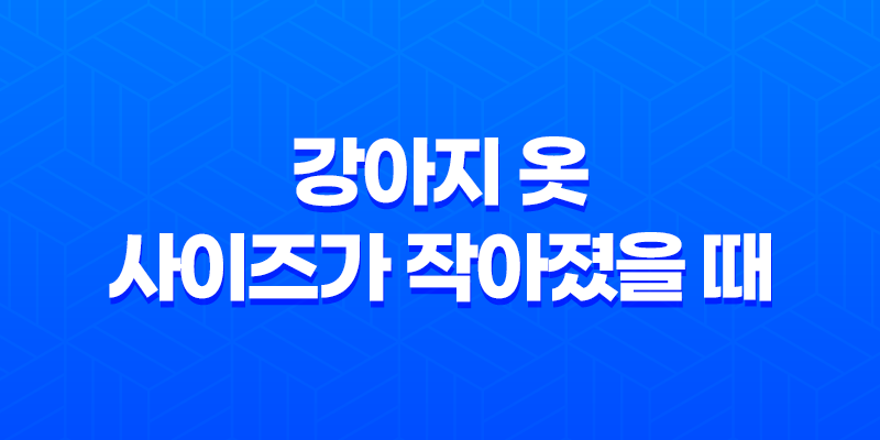 강아지 옷, 사이즈가 작아졌을 때 알아두면 좋은 팁 7