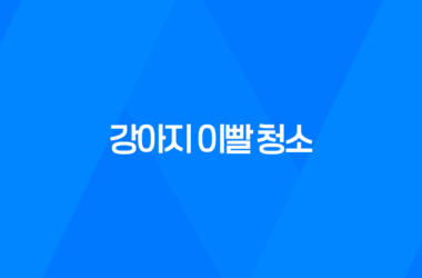 강아지 이빨 청소, C.E.T. 미니 칫솔 2개 세트로 효과적으로 관리하세요! 9
