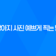 강아지 사진 예쁘게 찍는 법 7가지 39