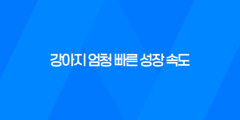 강아지, 살찌고 또 찌고! 엄청 빠른 성장 속도에 놀라라! 7