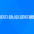 강아지 장난감 강아지용품, 장보는 강아지 구매 굉장히 저렴하게 구매한 강아지 장난감 29