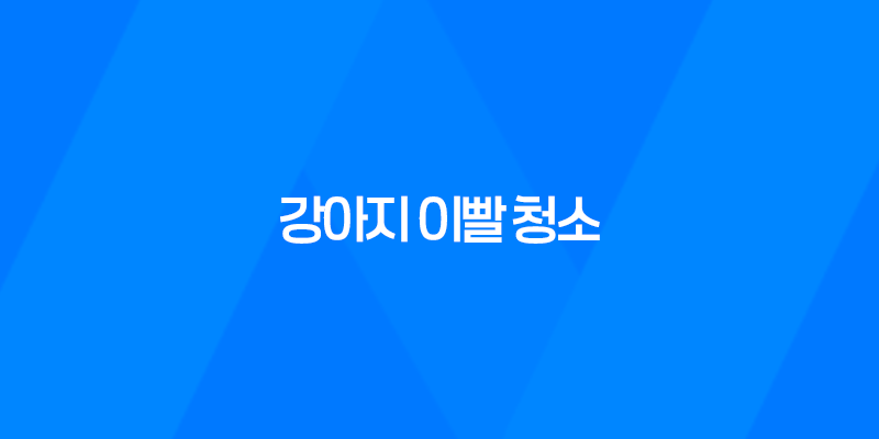 강아지 이빨 청소, C.E.T. 미니 칫솔 2개 세트로 효과적으로 관리하세요! 8 강아지 이빨 청소, C.E.T. 미니 칫솔 2개 세트로 효과적으로 관리하세요! 7