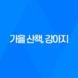 가을 산책, 강아지도 가을이 즐거워 75