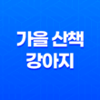 가을 산책, 강아지도 가을이 즐거워 75