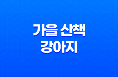 가을 산책, 강아지도 가을이 즐거워 29