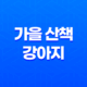 가을 산책, 강아지도 가을이 즐거워 75