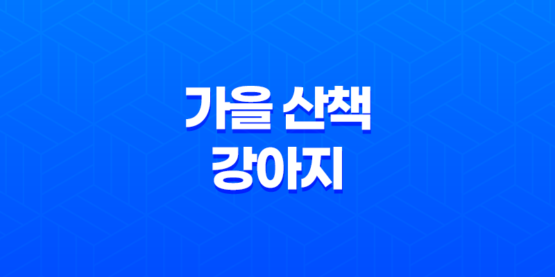 가을 산책, 강아지도 가을이 즐거워 7