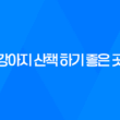 강아지 산책 하기 좋은 곳, 잠실 아시아공원 핫플레이스 79
