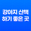 강아지 산책 하기 좋은 곳, 잠실 아시아공원 핫플레이스 79