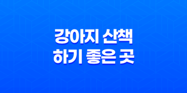 강아지 산책 하기 좋은 곳, 잠실 아시아공원 핫플레이스 77