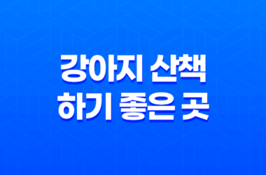 강아지 산책 하기 좋은 곳, 잠실 아시아공원 핫플레이스 27