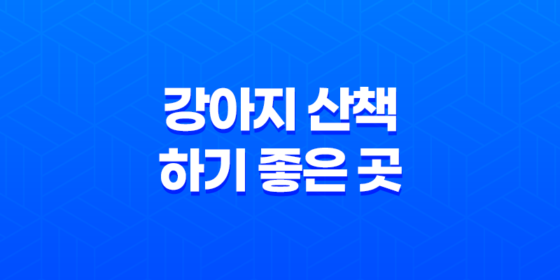 강아지 산책 하기 좋은 곳, 잠실 아시아공원 핫플레이스 8 강아지 산책 하기 좋은 곳, 잠실 아시아공원 핫플레이스 7