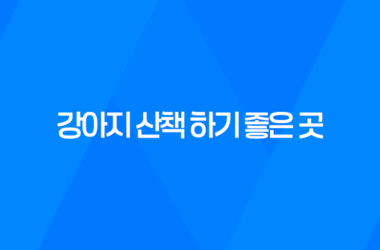 강아지 산책 하기 좋은 곳, 잠실 아시아공원 핫플레이스 17
