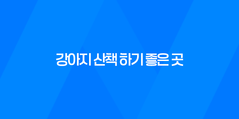 강아지 산책 하기 좋은 곳, 잠실 아시아공원 핫플레이스 8 강아지 산책 하기 좋은 곳, 잠실 아시아공원 핫플레이스 7
