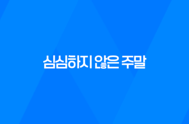 강아지 분리불안 절대 혼자두지마세요! 9