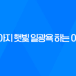강아지 햇빛 일광욕 하는 이유, 꿀잠 81