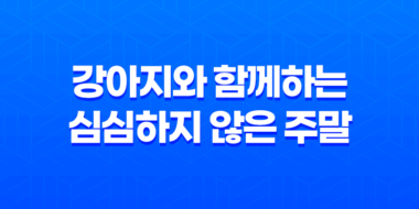 강아지와 함께하는 심심하지 않은 주말! 79