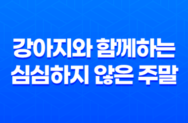 강아지와 함께하는 심심하지 않은 주말! 21