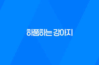 하품하는 강아지, 구름이와 루이의 일상 7