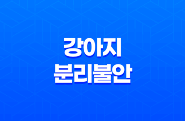 강아지 분리불안 절대 혼자두지마세요! 19
