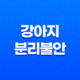 강아지 분리불안 절대 혼자두지마세요! 61