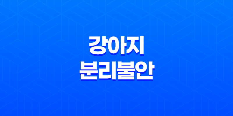 강아지 분리불안 절대 혼자두지마세요! 8 강아지 분리불안 절대 혼자두지마세요! 7