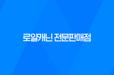 디자인바이펫, 로얄캐닌 전문판매점 잠실 애완용품샵 17