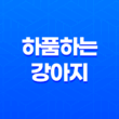 하품하는 강아지, 구름이와 루이의 일상 29