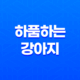 하품하는 강아지, 구름이와 루이의 일상 51