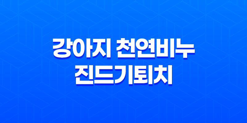 강아지 천연비누 진드기퇴치 올인원 라벤더향 8 강아지 천연비누 진드기퇴치 올인원 라벤더향 7