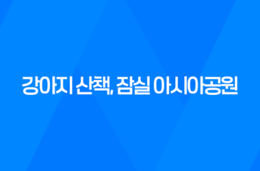 강아지 산책, 잠실 아시아공원에서 즐겁게 보내기 13