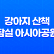 강아지 산책, 잠실 아시아공원에서 즐겁게 보내기 73